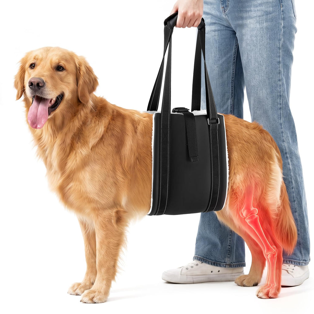Harnais pour chiens pour jambes arrière