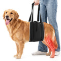 Harnais pour chiens pour jambes arrière