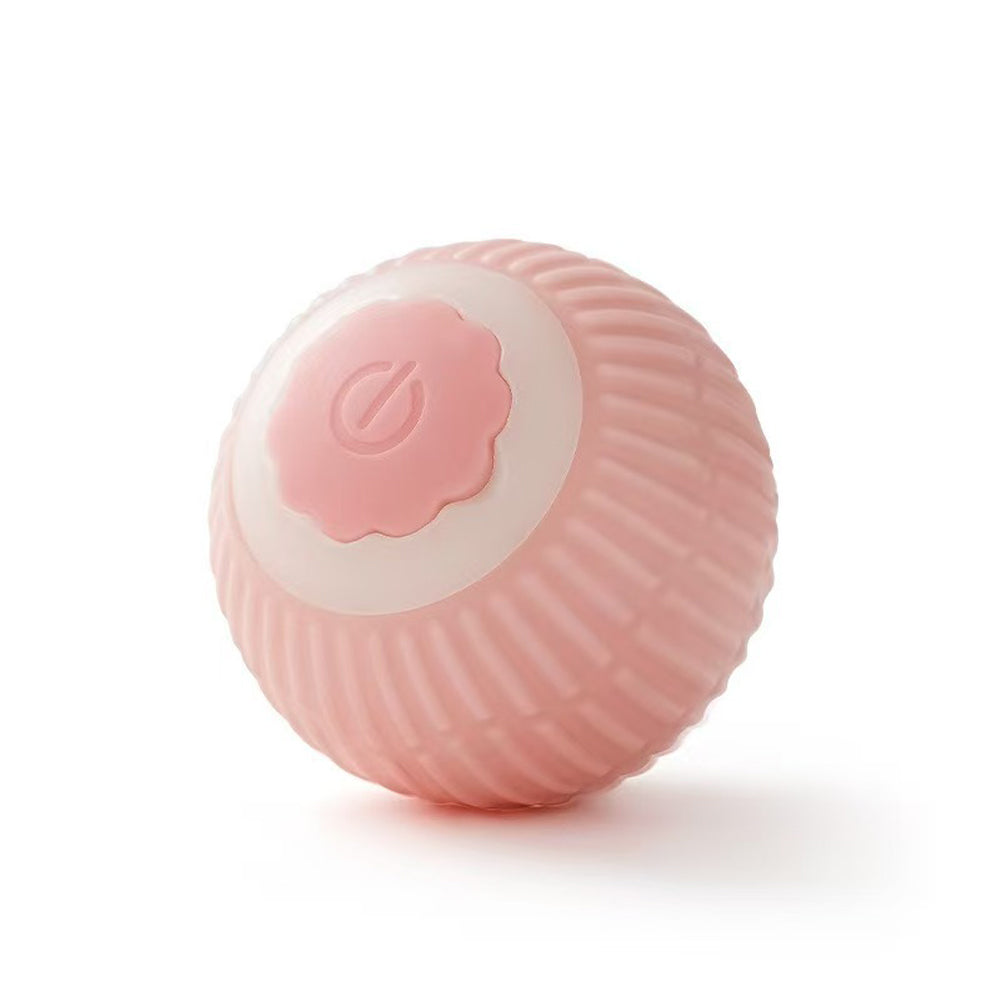 Jouet électrique de boule de chat de chien