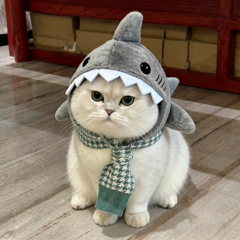 Tête de requin-chat chaud