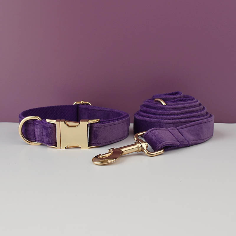 Collier de chien en peluche et fournitures pour animaux de compagnie en laisse