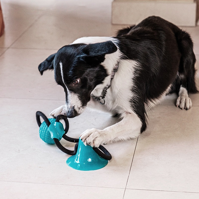 Jouet de chien résistant aux morses Molar Interactive Sucker Spherical Tug Of War String