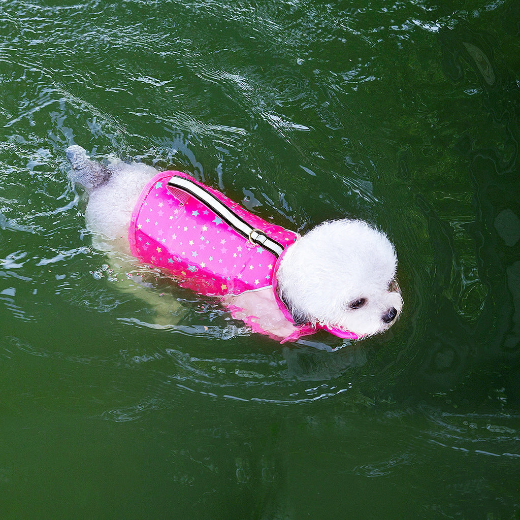 Suit d'entraînement de natation pour chiots d'été