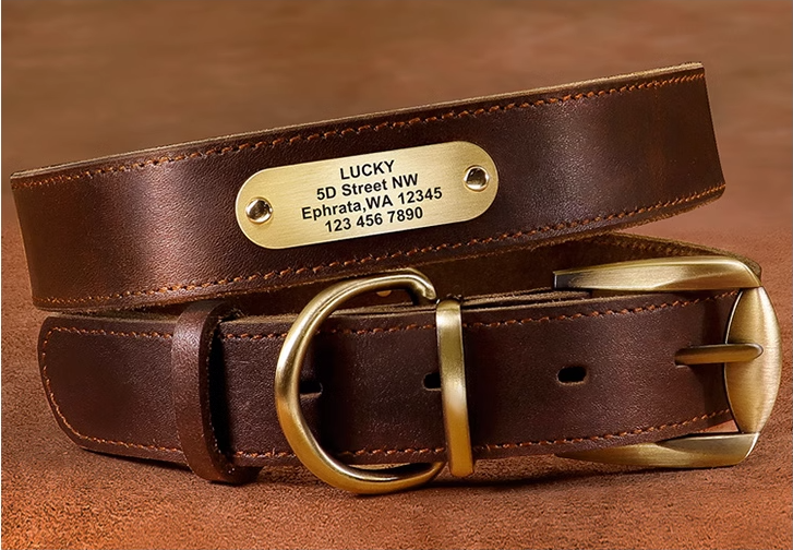 Collier de chien en cuir véritable de vache gravé anti perte