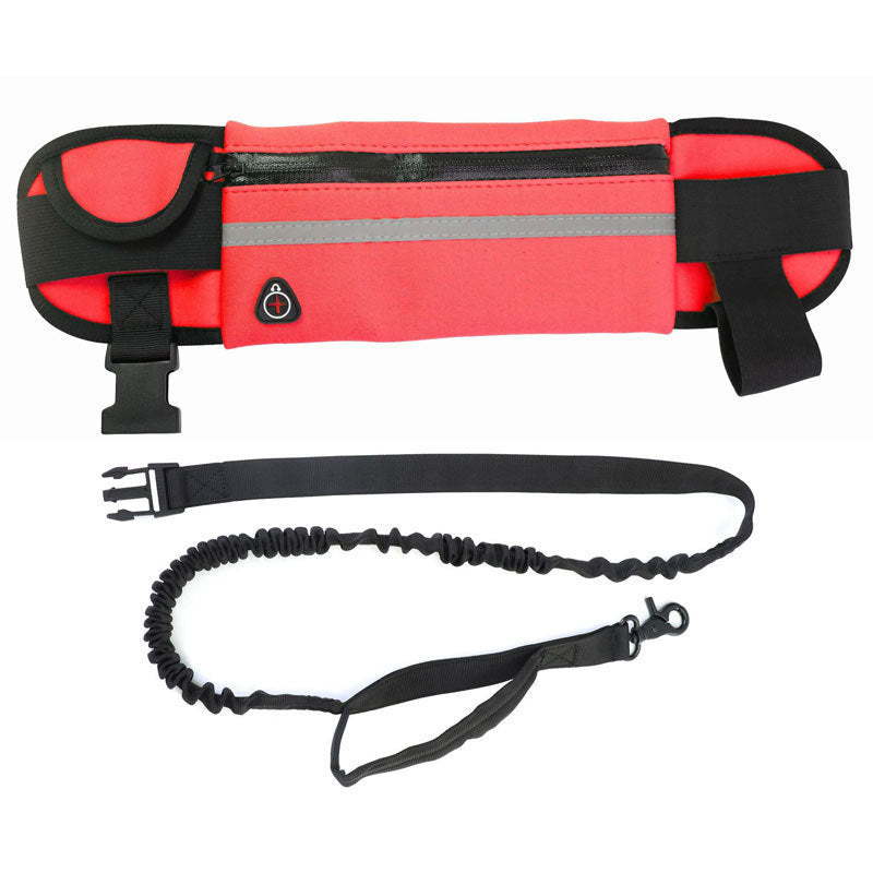 Entraînement pour animaux de compagnie Multi-Pocket Légère laisse