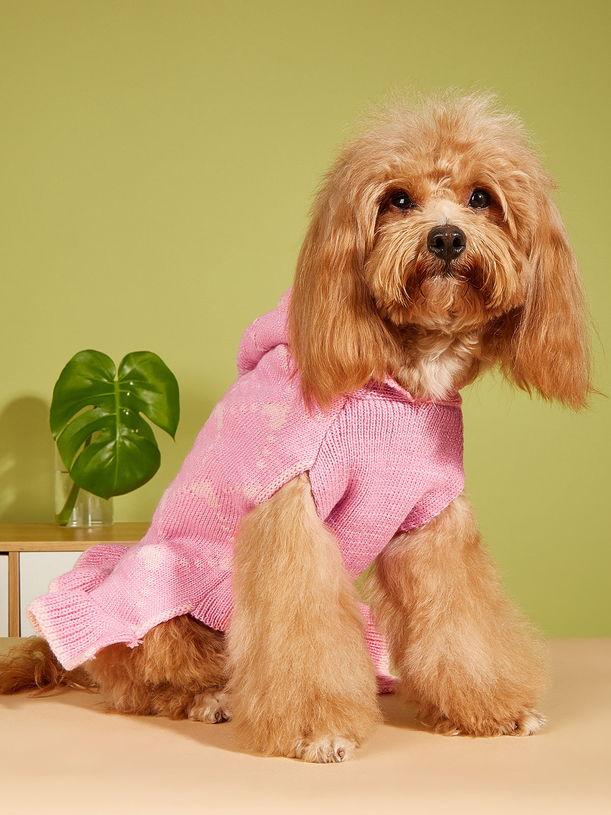 Petit chien sweater Hoodies Robe Hiver tricot mignon vêtements coeur Puppy vêtements