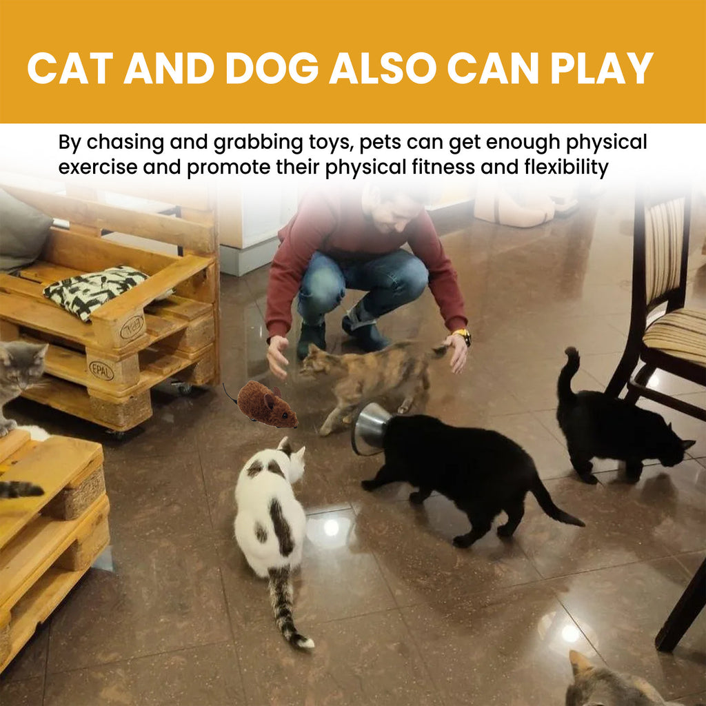 Jouet interactif de souris de Yegbong Pet