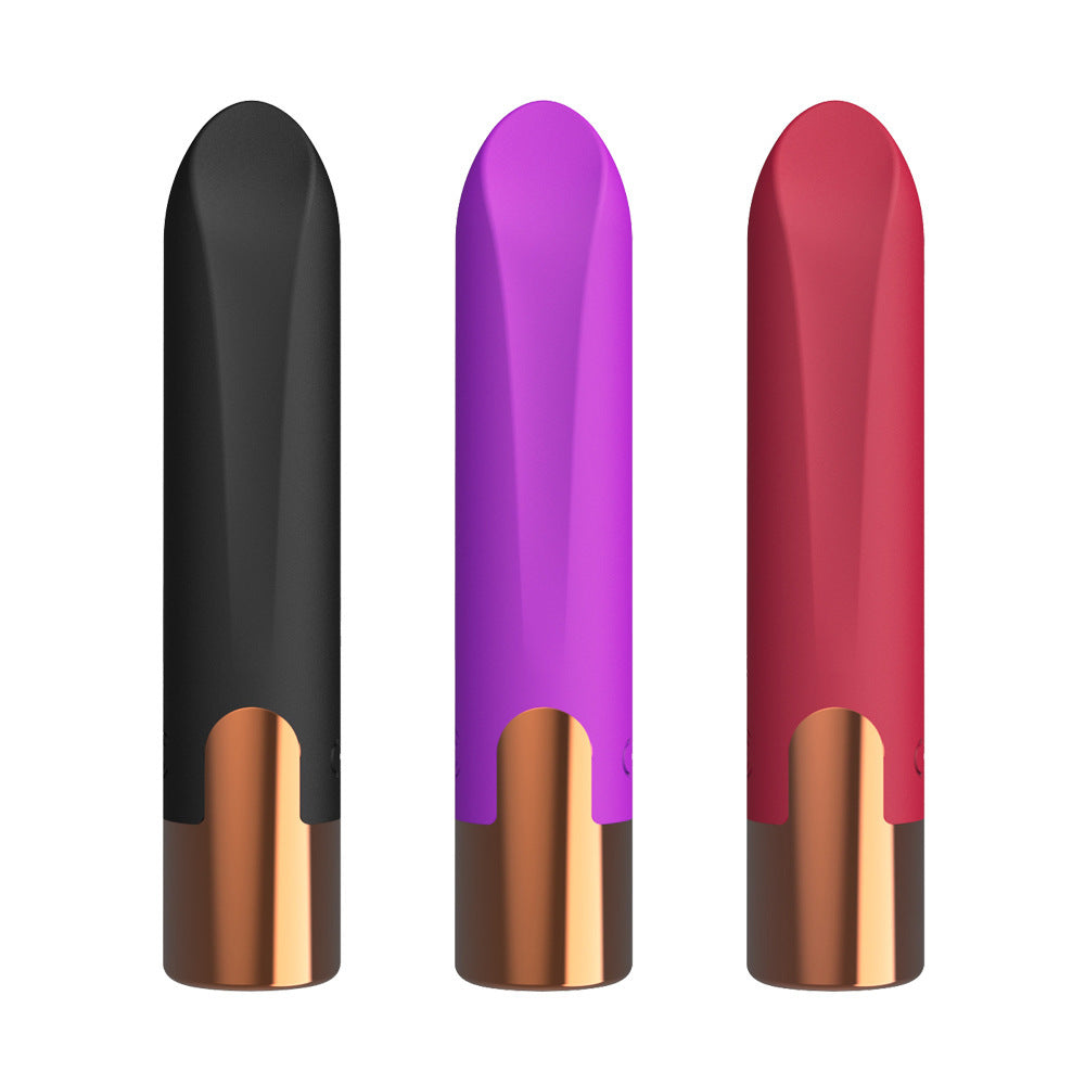 Massage personnel en silicone rechargeable avec 10 modes de vibration et charge magnétique USB