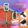 8 pouces Beauty Fill Light Selfie Stick Bluetooth Télécommande Sol extérieur intégré Li