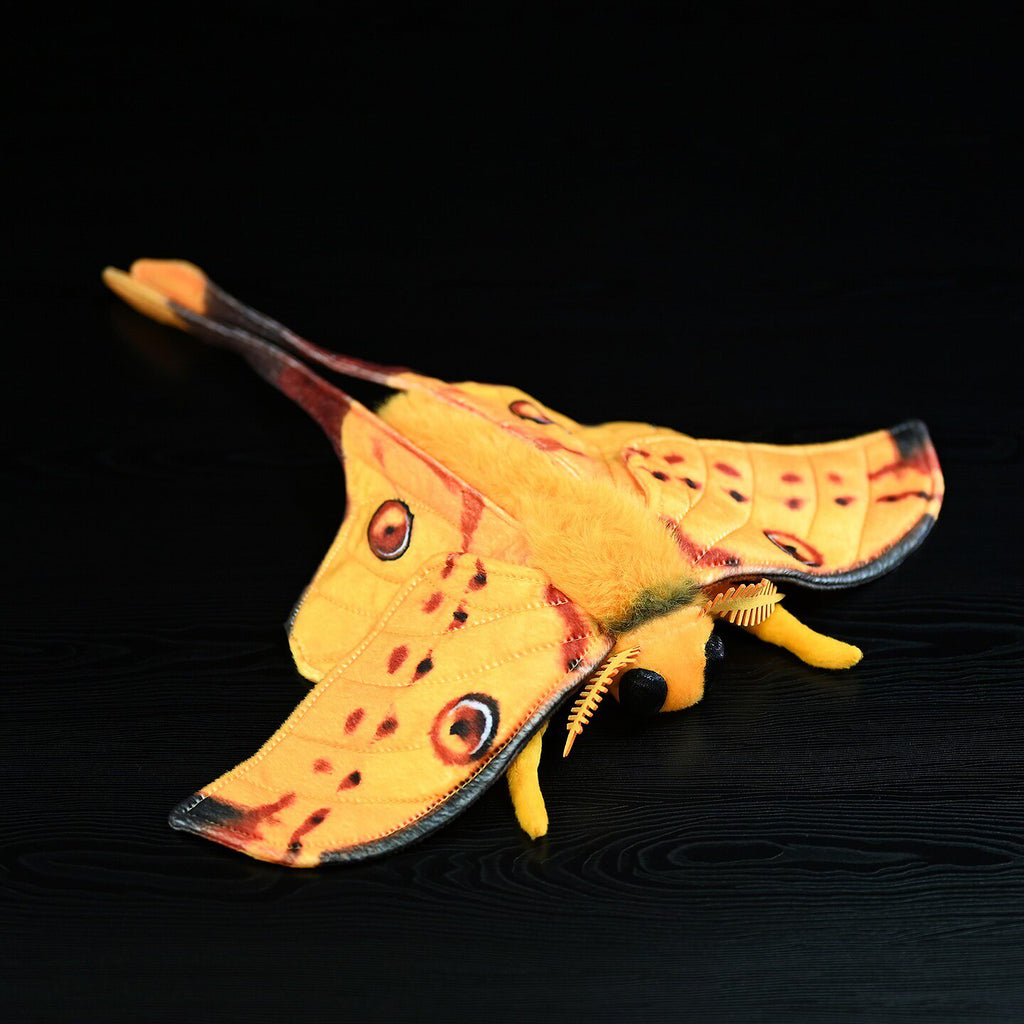 Série Insect Comet Tail Jouet en peluche de vers à soie