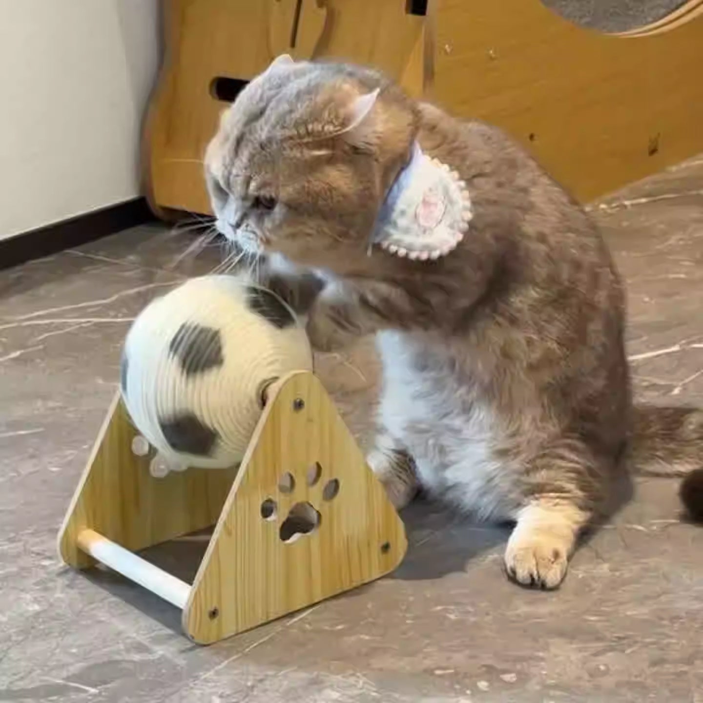 Plancher vertical en bois Panneau de grattage Cat résistant à l'usure Pas de pellicule