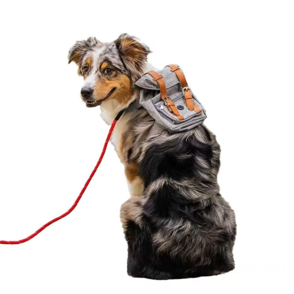 Retro Streetwear Dog Backpack Petite Pet Carrier