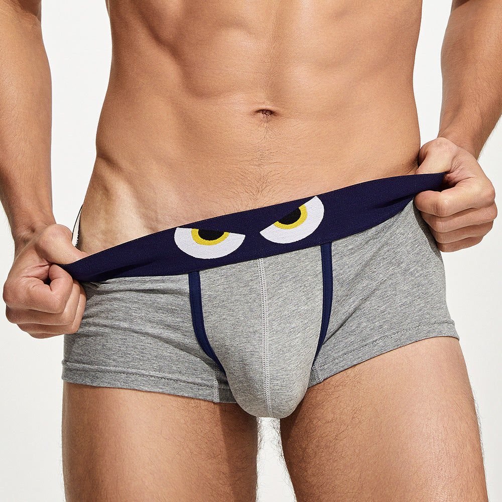 Sous-vêtements pour hommes en coton