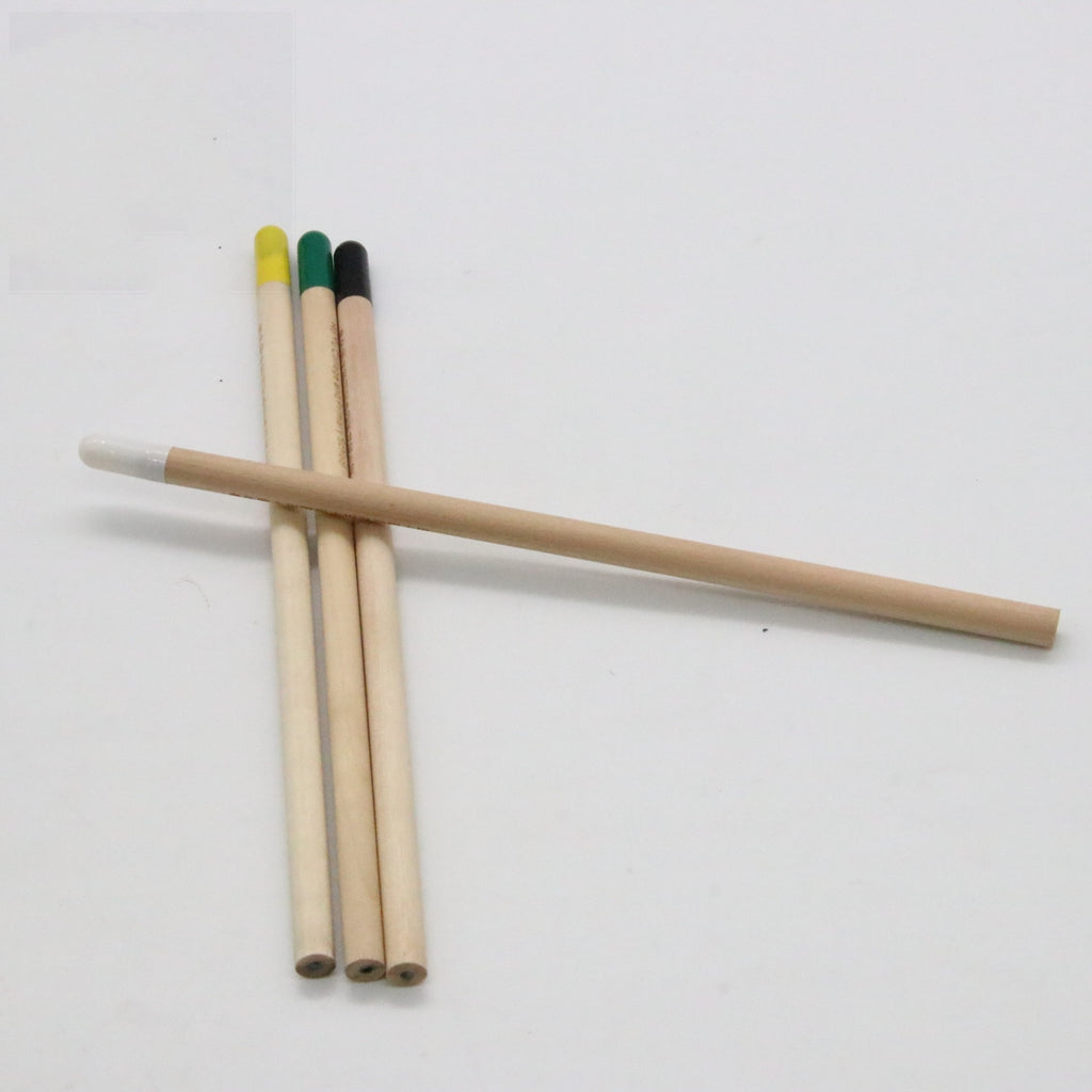 Graines Pencil Germinable Plant Pencil HB Recharge Capsules dégradables
