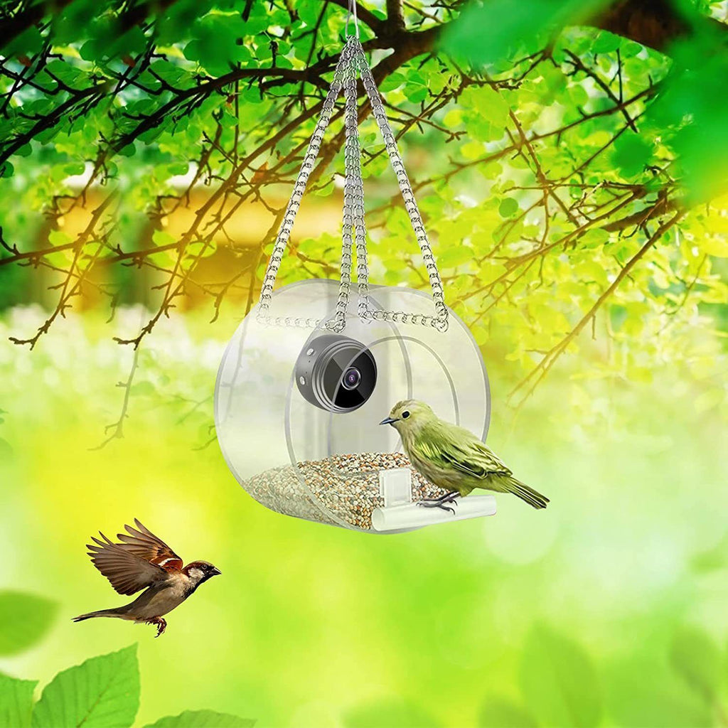 Pet Smart Feeder Surveillance en temps réel en plein air avec caméra HD