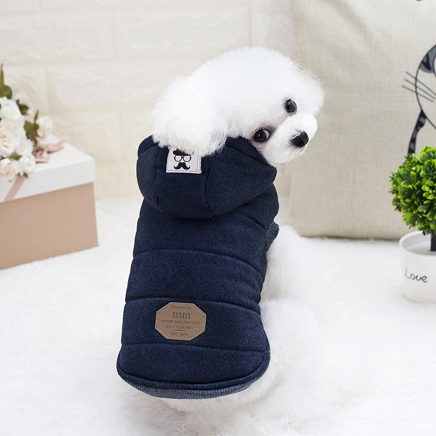 Vêtements Teddy pour animaux de compagnie Vêtements rembourrés en coton à deux pattes