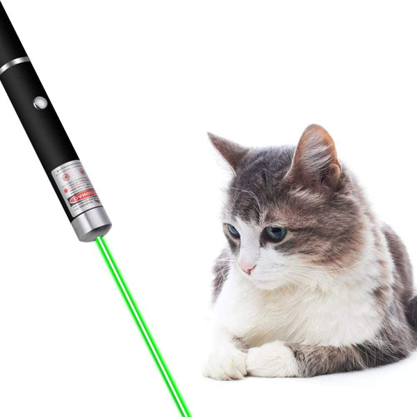 5 PCS Petit stylo pointeur laser 532nm Feu vert faisceau visible 1mW pour la conférence Presentati