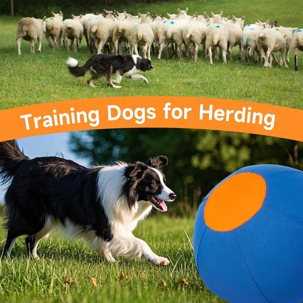 Outdoor Pet Toy Training Balle gonflable auto-jeune
