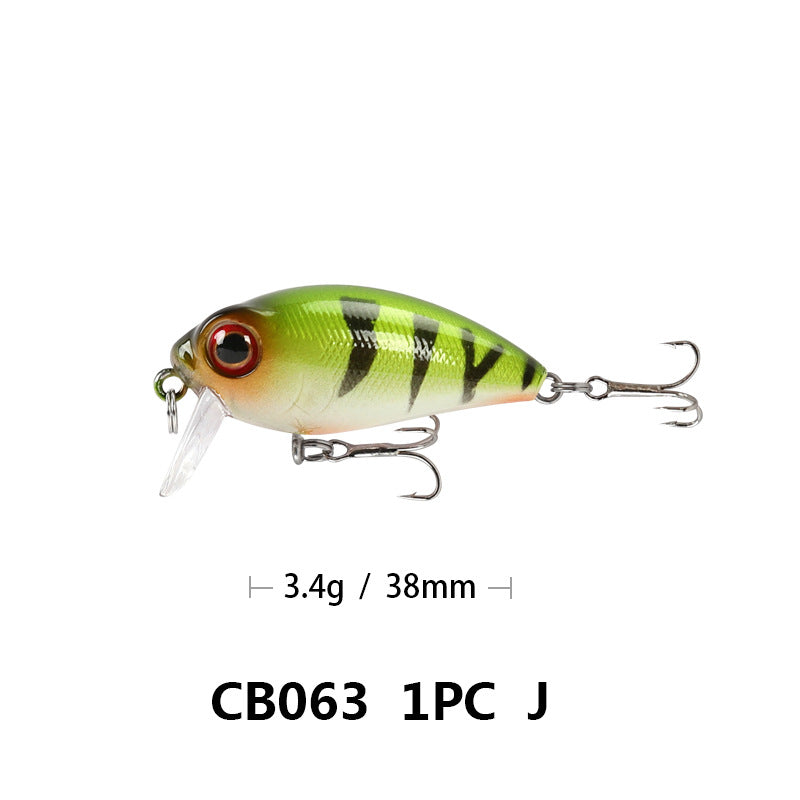 Lure Rock Cocked Bouche Lu Ya Bait Faux bionique