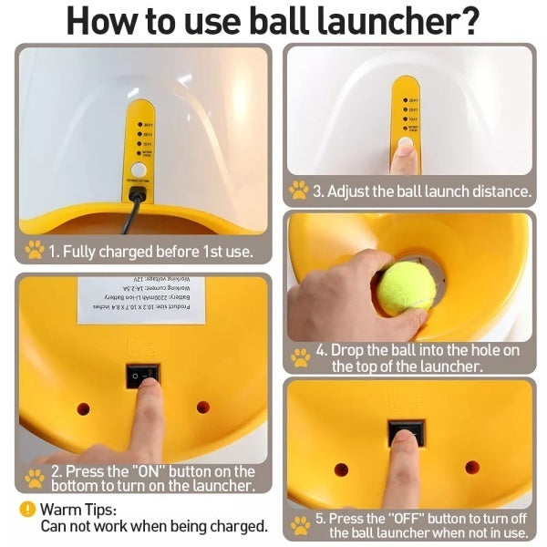 Launcheuse automatique de balle de chien à lancer des chiens intérieur extérieur