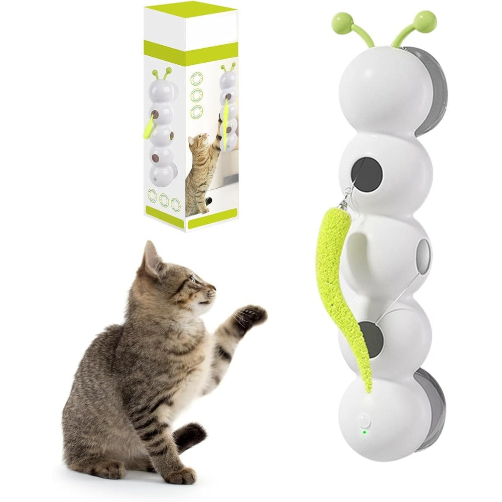 Jouet de chat de vers