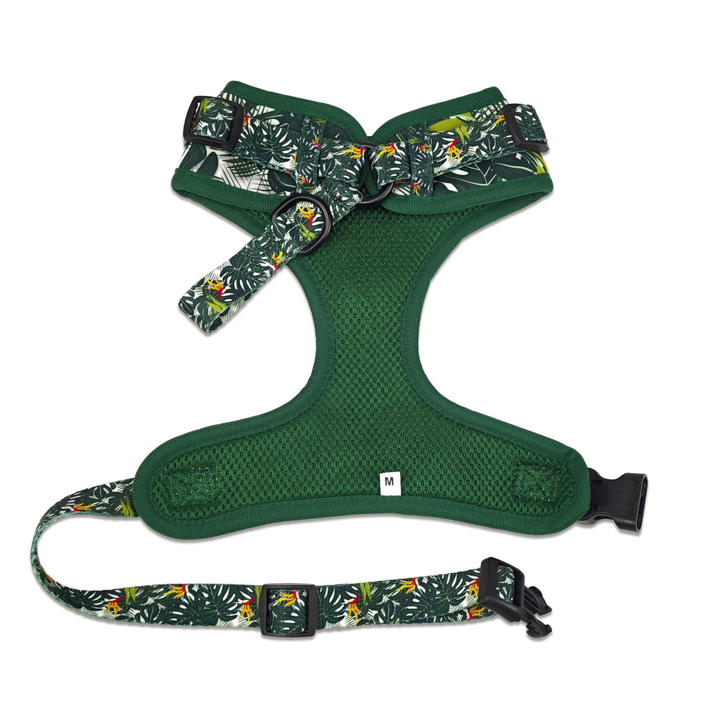 Jeu d'harnais et de laisse pour chien