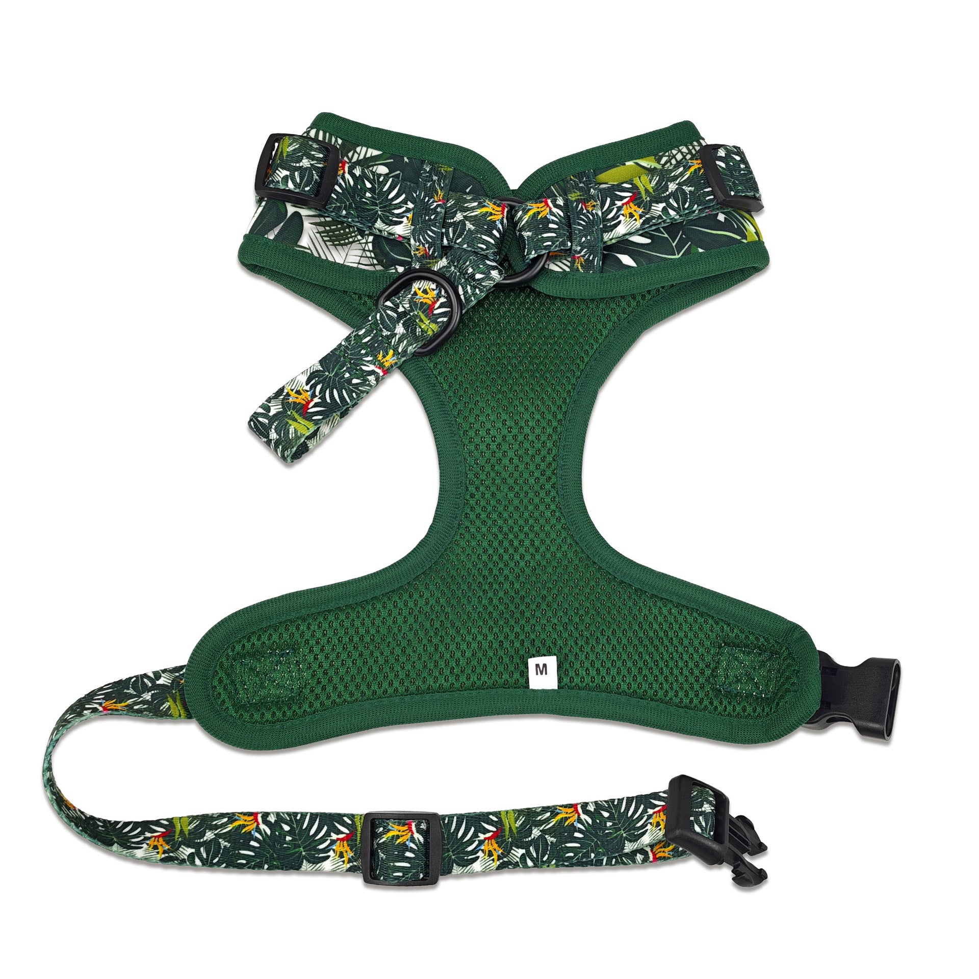 Jeu d'harnais et de laisse pour chien