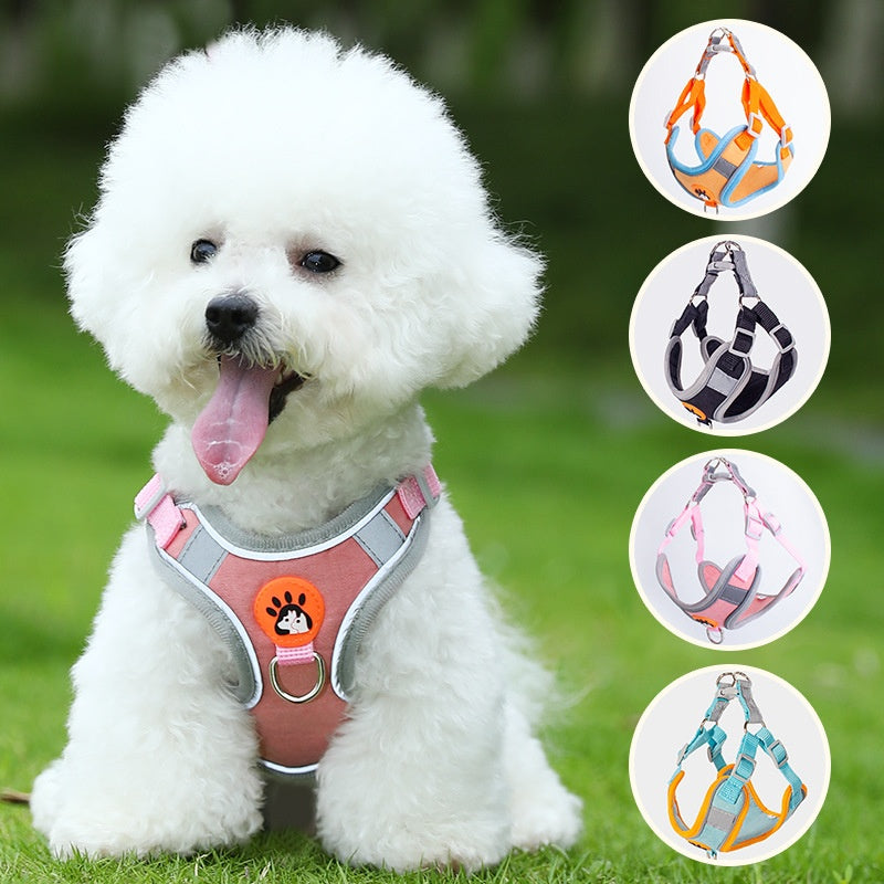 Harnais respirant respirant haute jambe Bichon et laisse