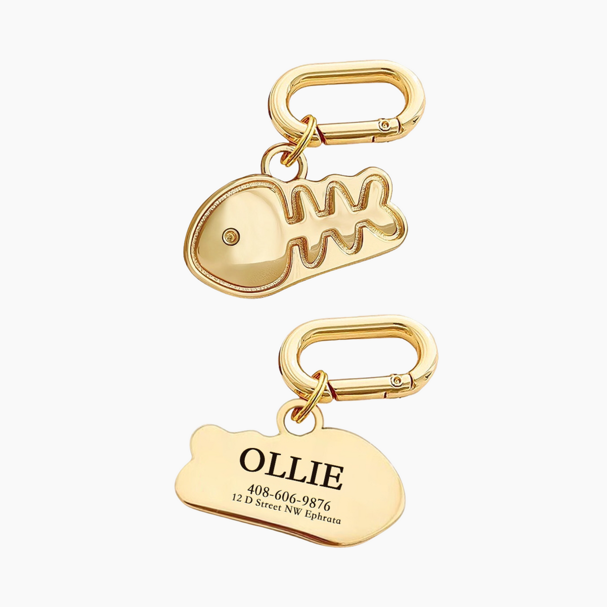 Tag chien Chat personnalisé Pet Loss Prevention Marque Suspension Tag