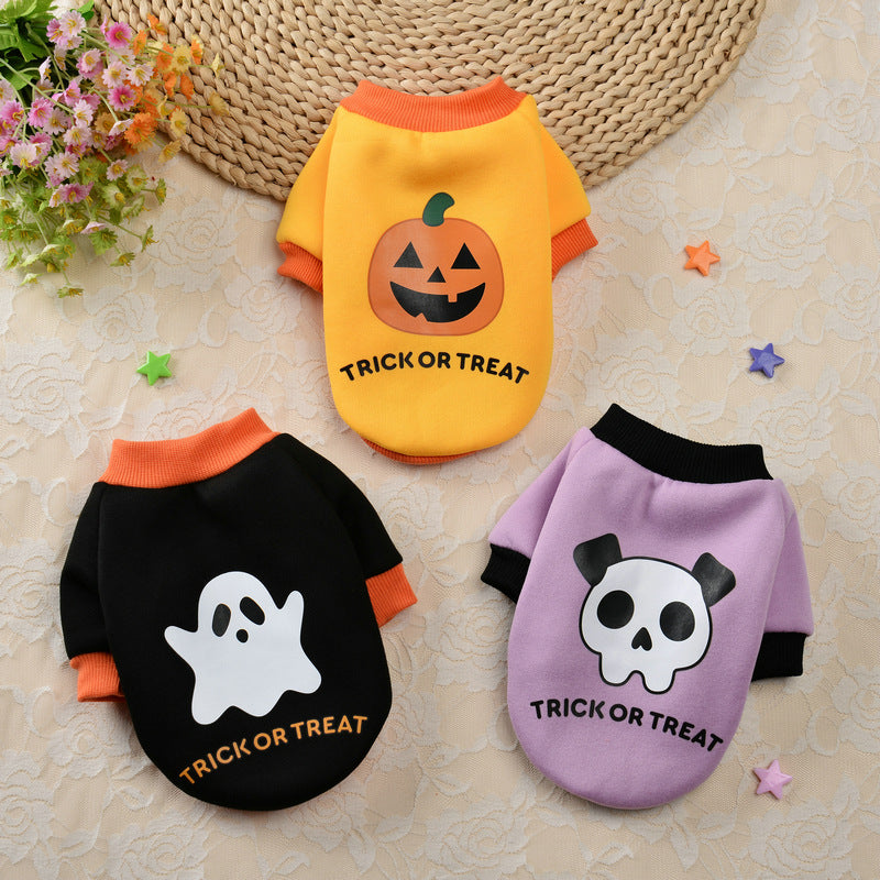 Halloween Pumpkin Crâne animal Teddy Petit chien Automne Chandail d'hiver