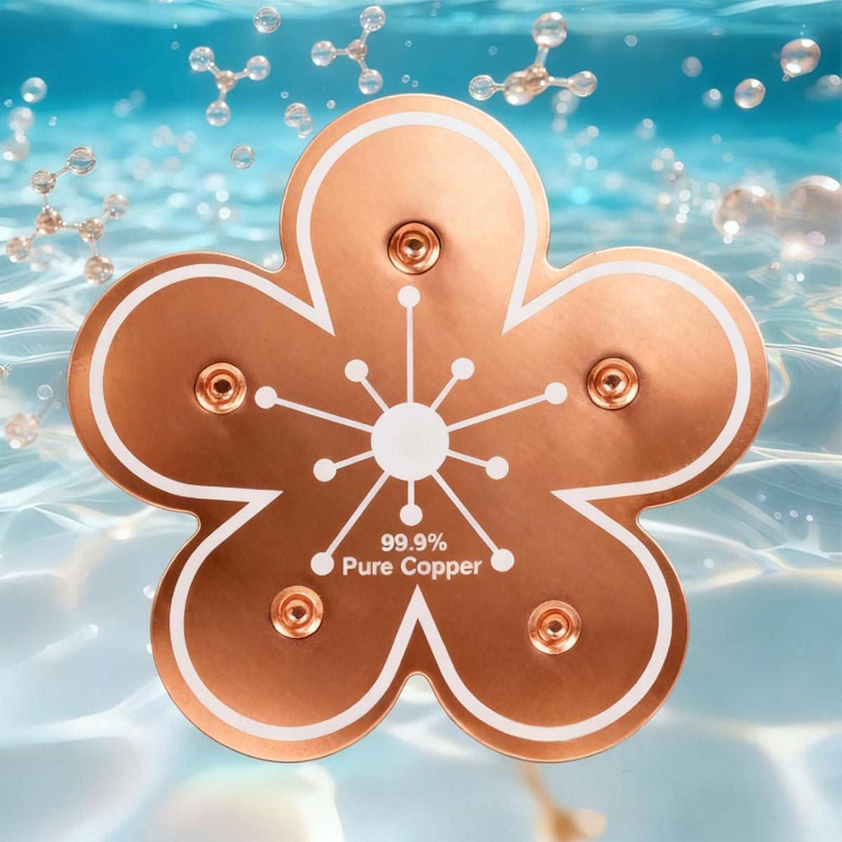 Nettoyeur de bain d'oiseaux