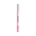 Stylo à tête double pour toucher