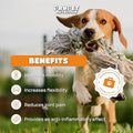 Suppléments pour chiens et chats avec de la glucosamine