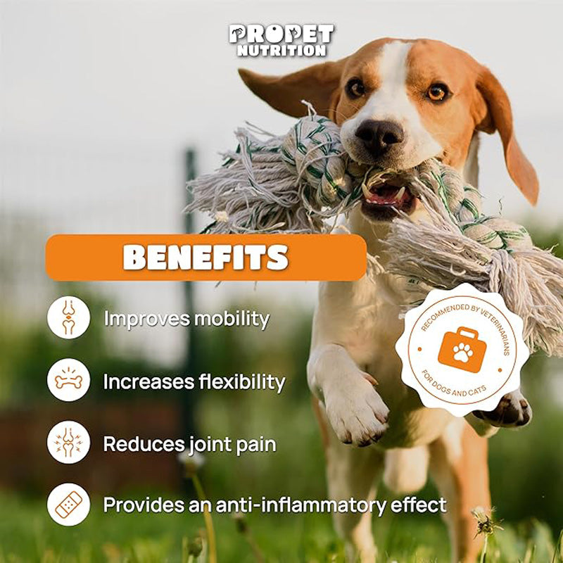Suppléments pour chiens et chats avec de la glucosamine