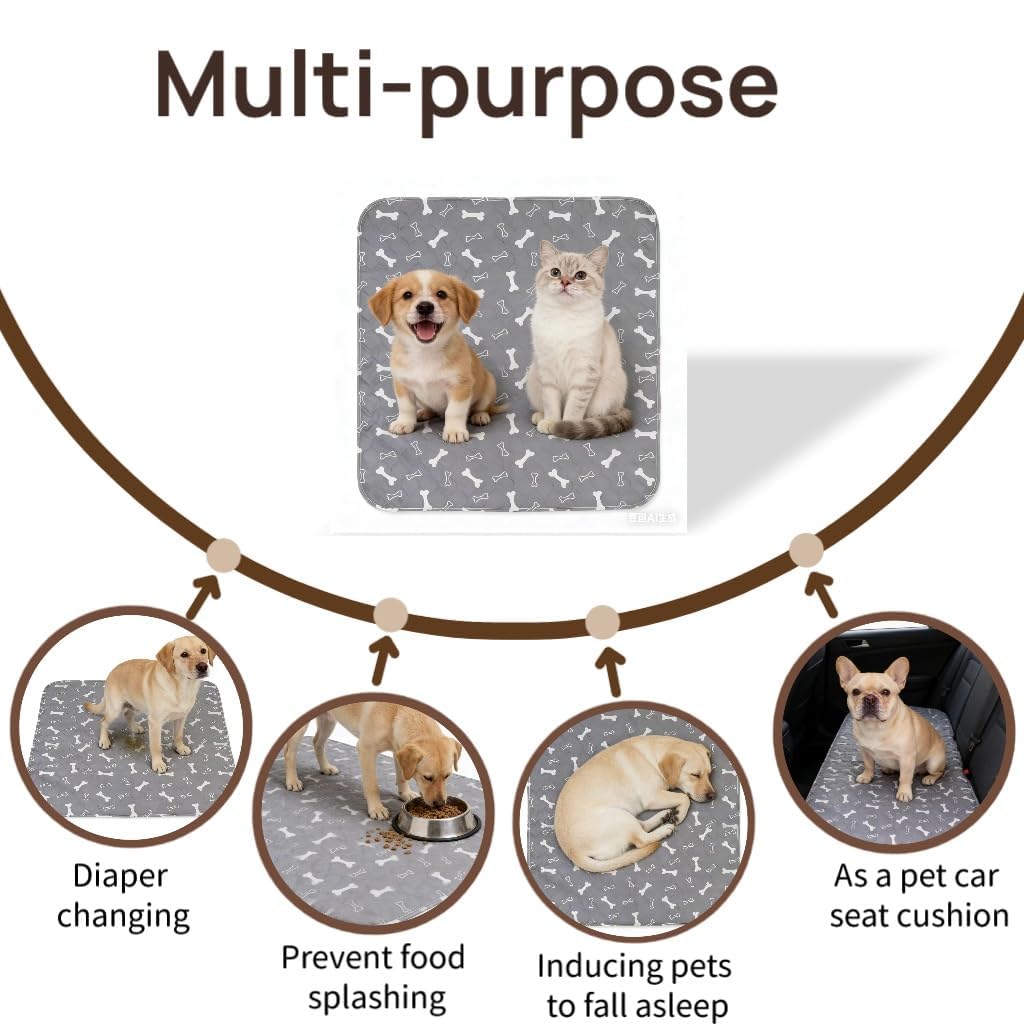 Pad Urine pour chiot