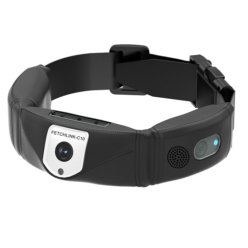 C10 Smart Pet Collar Monitoring Health Multifonctionnel
