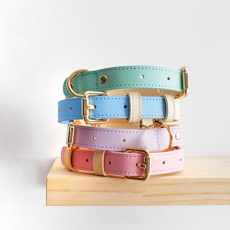 Collier en cuir pour chiens de taille petite et moyenne