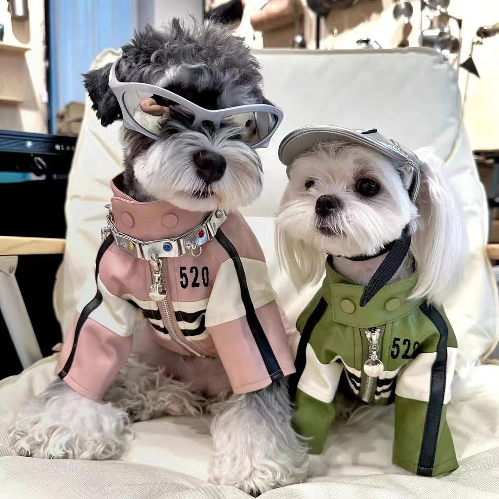 Dog Automnehiver Vêtements Veste de moto manteau