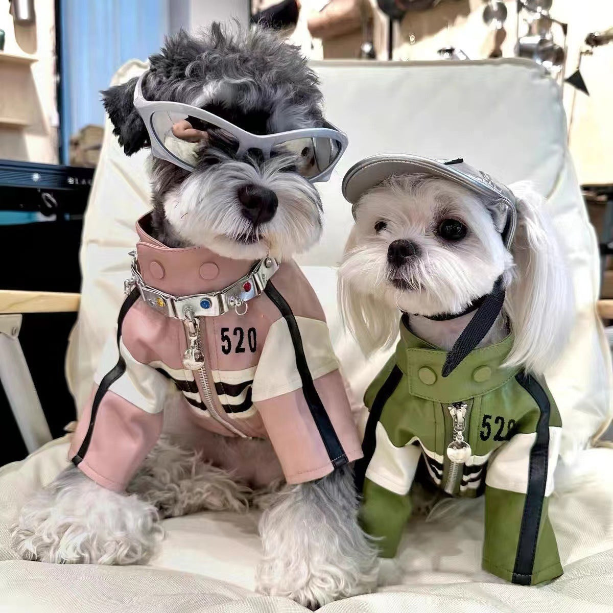 Dog Automnehiver Vêtements Veste de moto manteau