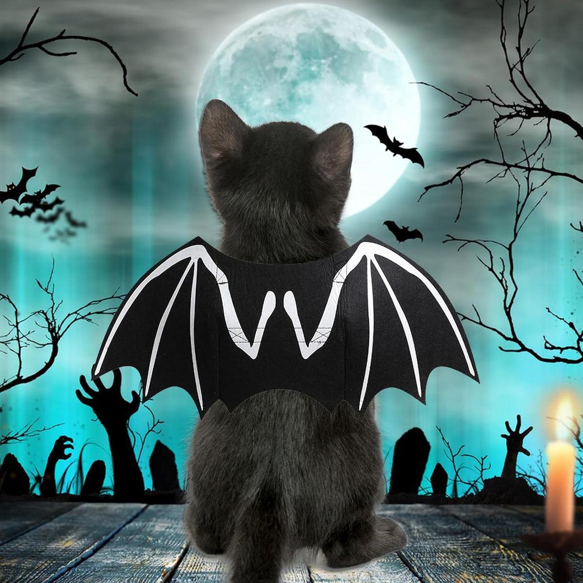 Chien Halloween costumes Chien Bat costume Cool Lumineux Skeleton Bone Bat Ailes Animaux Cosplay