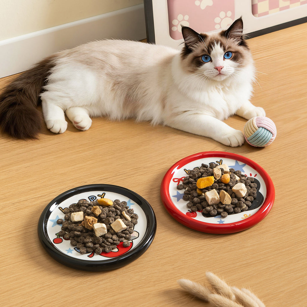 Cute Cartoon Ceramic Pet Bowl