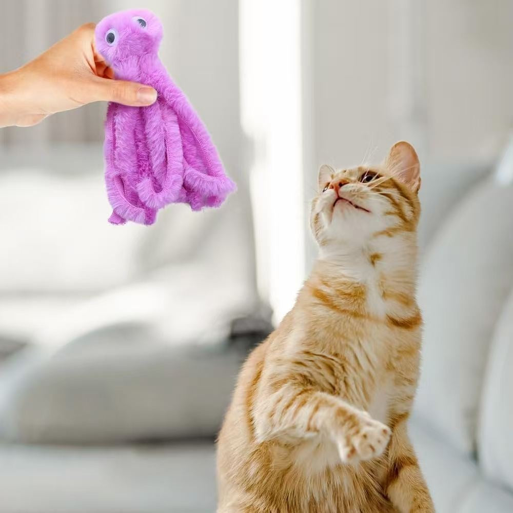 Cat Octopus Polygonum Multiflorum Pet Supplies