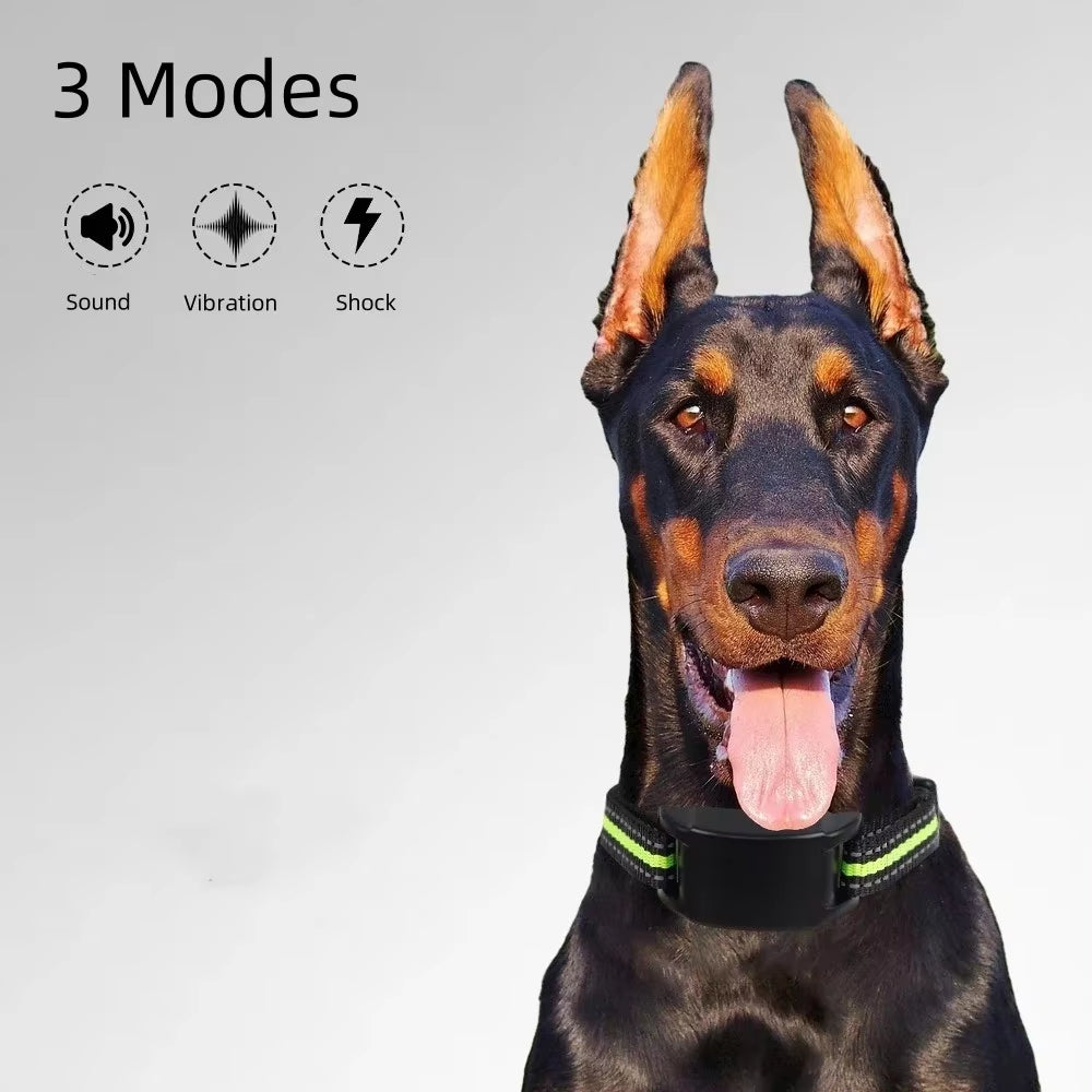 Collier de chien USB Rechargeable Trainer électrique Vibration Shock Beep Dog Training Collar Anti