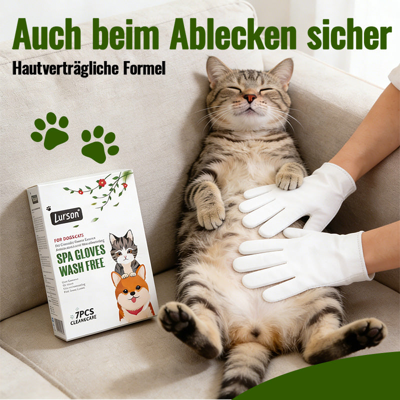 Gants antibactériens anti-poussières pour animaux de compagnie Camellia