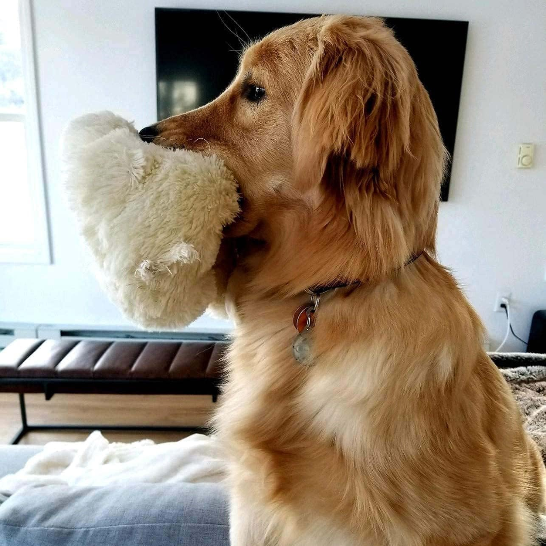 Puppy heartbeat toy – comforting night comforter