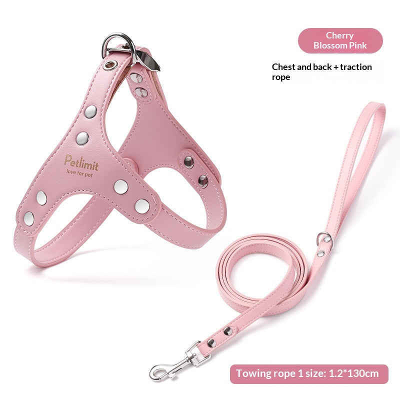 Harnais en cuir et laisse pour chiots pour petits chiens