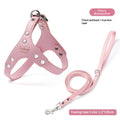 Harnais en cuir et laisse pour chiots pour petits chiens