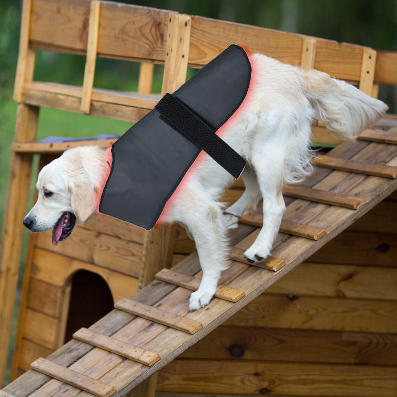 L Size Pet Red Light Infrared Physiothérapie Instrument Chiens et chats Retour et Abdomen Inju