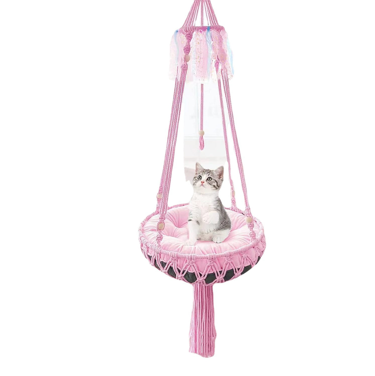 Chat Hammock suspension Nest Basket Swing