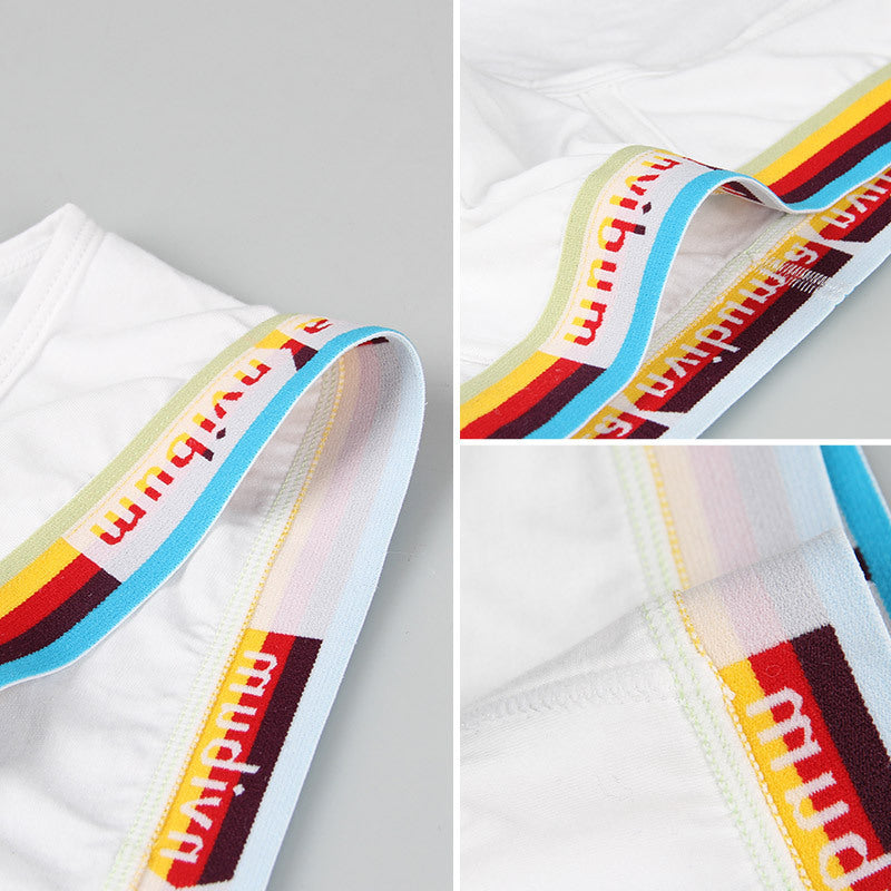 Slips en coton Rainbow Rubber Band